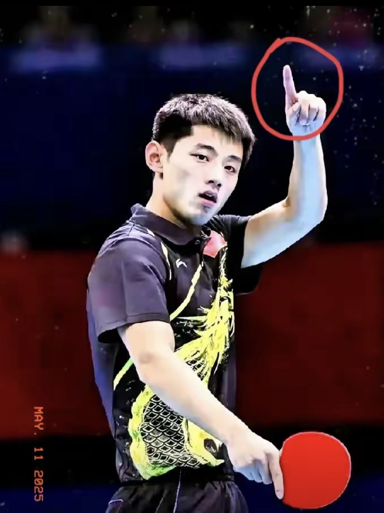 比利时乒乓球队逆转德国乒乓球队，张继科送出助攻的简单介绍