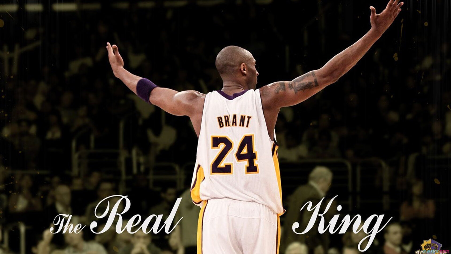 一夫当关万夫莫开!库尔图瓦神级扑救定乾坤,韩国悲情饮恨土耳其